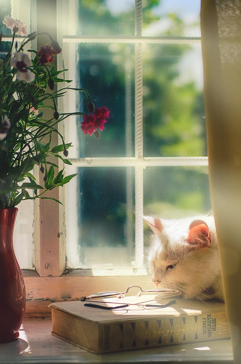 Bohemian Bliss